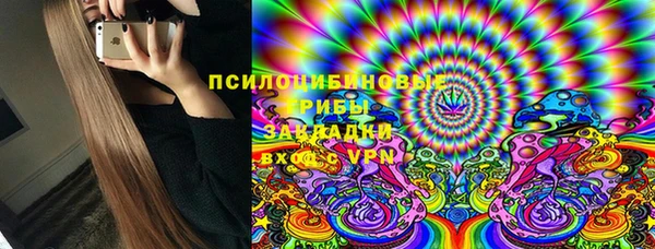 индика Арсеньев