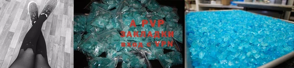 индика Арсеньев