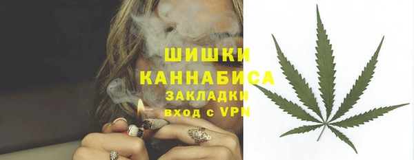 индика Арсеньев