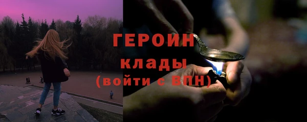 индика Арсеньев