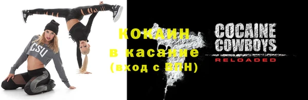 гидра Ессентукская
