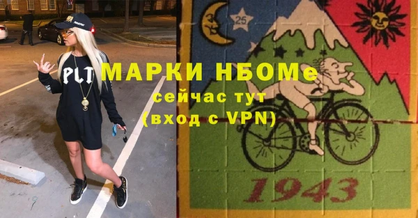 индика Арсеньев