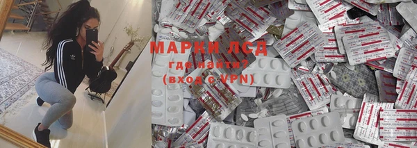 индика Арсеньев