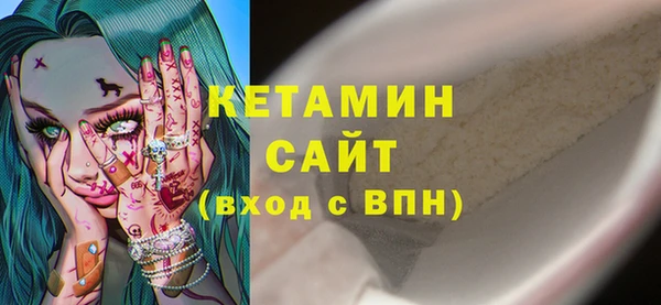 индика Арсеньев