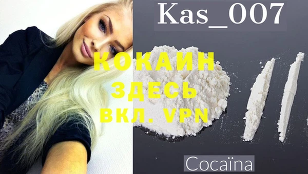индика Арсеньев