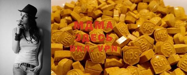 индика Арсеньев