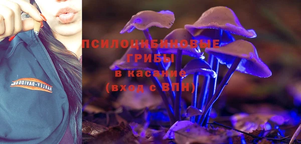 соль ск Аркадак