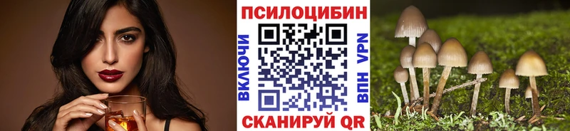 Псилоцибиновые грибы Cubensis Горнозаводск